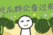 甜瓜新乐场 
