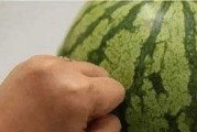 我要如何说再见 