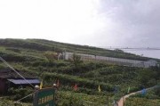 事件视界前沿 