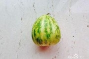 消了个瓜最新版2024手游地址 